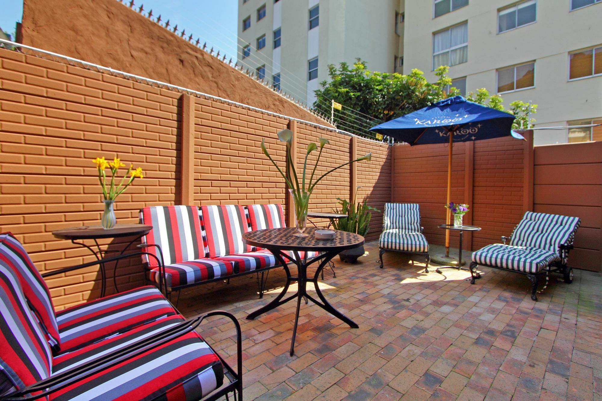 40 Winks Guest House Green Point Κέιπ Τάουν Εξωτερικό φωτογραφία
